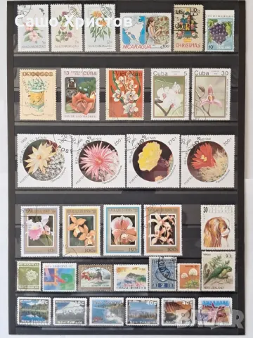 Пощенски марки тема ”Растения”., снимка 4 - Филателия - 49390160