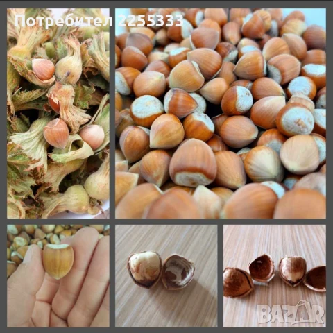 Продавам дворно място заедно с 27 дка. лешникова градина , снимка 7 - Парцели - 50534800