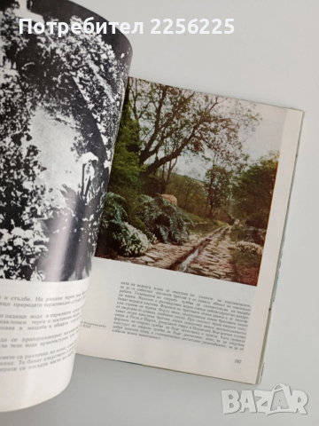 Градинско-парково и пейзажно изкуство, снимка 9 - Специализирана литература - 52467490