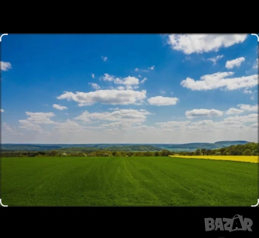 Земеделска земя под наем Аренда на земеделска земя Наем на ниви в област Кюстендил, снимка 2 - Земеделска земя - 53232447
