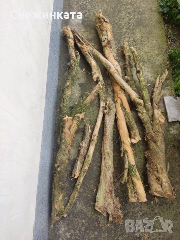 Продавам чемшир- дървен материал (50-150лв/брой), снимка 6 - Други - 34714075