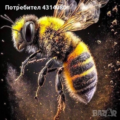 Натурален пчелен мед!!!!, снимка 6 - Пчелни продукти - 51655444