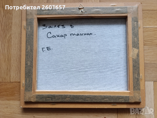 Маслена картина, български автор, подпис Г.Б., снимка 4 - Картини - 53011566