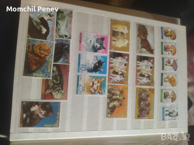 Пощенски Марки СССР, снимка 12 - Филателия - 52441234