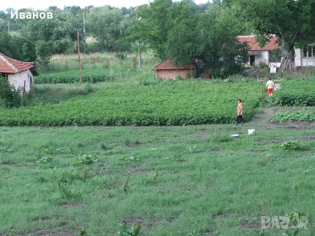 Къща , Стара Загора , село Пъстрен 