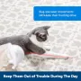 Автоматична котешка лазерна играчка- PetSafe Dancing Dot, снимка 5