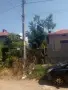 Рязане на високи и опасни дървета, снимка 2