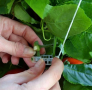 Скоби за домати колове растения връзване поддръжка пластмасови зеленчуци, снимка 9