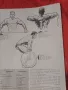 Muscle Power 1963 г  бодибилдинг , снимка 7