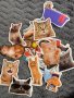 Водоустойчиви стикери 50х бр-Котки,Cats,Kitty(лаптопи,коли,тротинетки,мотори,каски,Xbox,PS4-5 и др), снимка 4