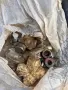 Авточасти ваз Лада Жигули , снимка 15