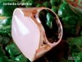 Сребърен пръстен с розов кристал, снимка 1 - Пръстени - 35724612