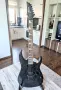Ibanez RGR320EX Roadrage Black, 2007, Indonesia, снимка 2