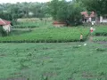 Къща , Стара Загора , село Пъстрен , снимка 1