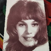 Картичка/снимка френската актриса Франсоаз Дорлеак , снимка 1 - Колекции - 41607643