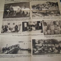 Интересен брой на "Илюстрована седмица" от 1928г., снимка 9 - Други ценни предмети - 41919069