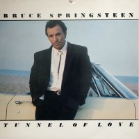 Три  албума на BRUCE SPRINGSTEEN, снимка 9 - Грамофонни плочи - 41843574