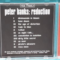 Peter Banks(Yes)(Jazz-Rock,Prog Rock)-3CD, снимка 10 - CD дискове - 44480385