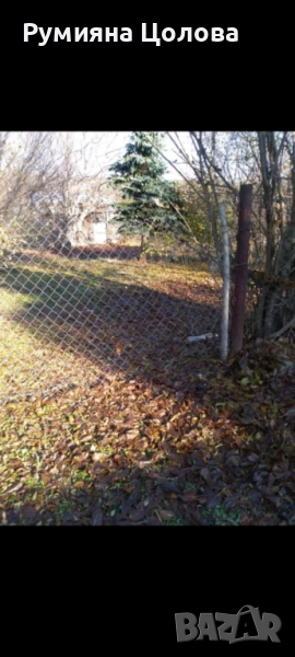 Овощна градина, снимка 1