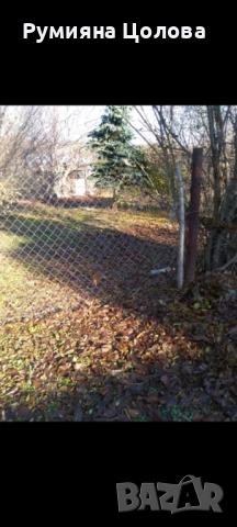 Овощна градина, снимка 1