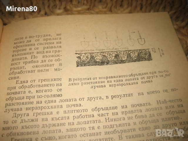 Голямата радост от малката градина - 1982 г., снимка 6 - Българска литература - 53575021