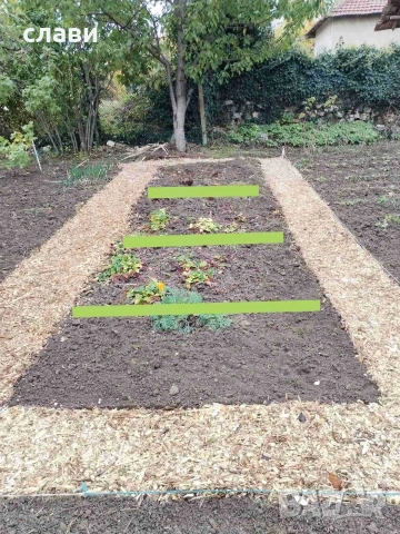 Дървесен чипс / Мулч / Черница , снимка 18 - Оранжерии - 53778872