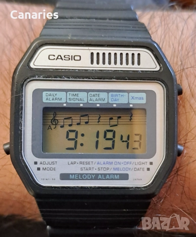 Casio melody 