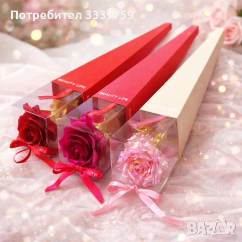 Роза със златно стъбло