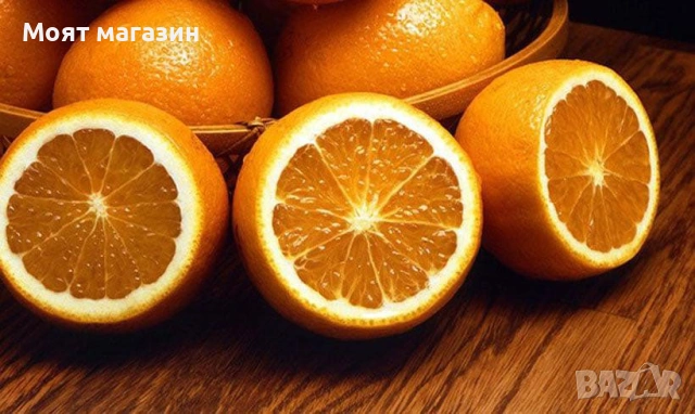 Портокал - Облагородени, снимка 7 - Градински цветя и растения - 53632628