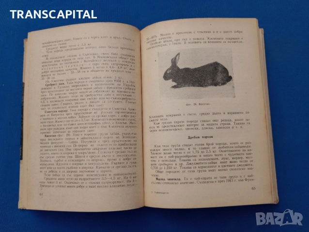 Зайцевъдство , снимка 2 - Специализирана литература - 52464532