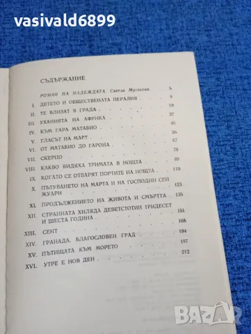 Пиер Гамара - Целувката на лятото , снимка 5 - Художествена литература - 47806807