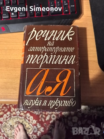 Речник на литературните термини 