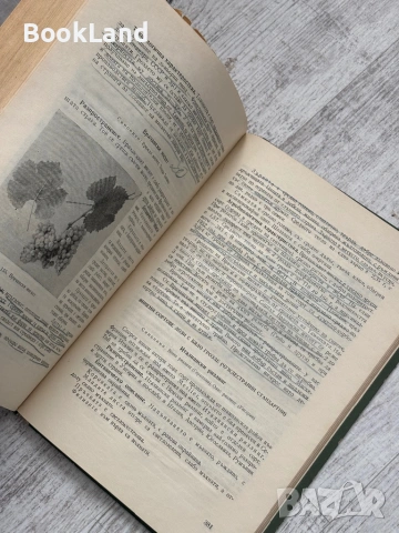 Лозарство| проф. Н. Неделчев и проф. М. Кондарев, снимка 7 - Други - 53568645