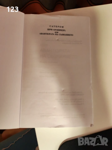 Шри Оробиндо или авантюрата на съзнанието, снимка 3 - Езотерика - 53841126