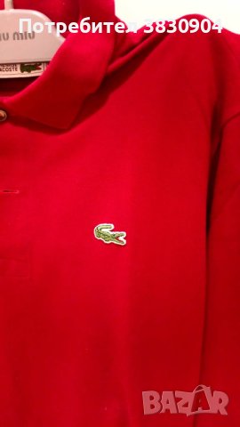 Поло шърт Lacoste, М, 100% памук, дълъг ръкав, снимка 10 - Блузи - 42195715