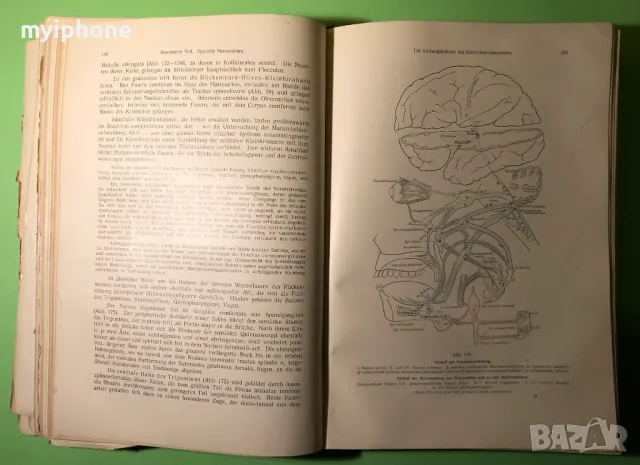 Стара Книга Анатомия ма Човека /Rauber Kopsch, снимка 6 - Специализирана литература - 49218517