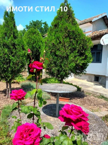 Продава къща в с. Войвода 50 000евро, снимка 14 - Къщи - 51416442