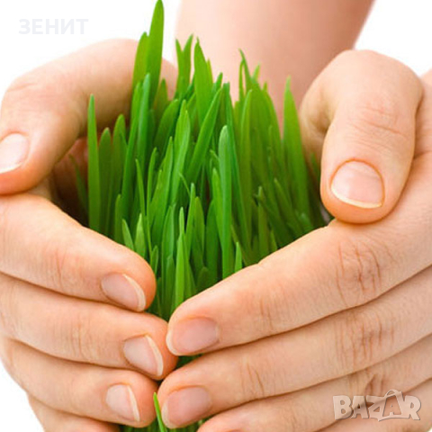 Курс Растителна защита, снимка 1