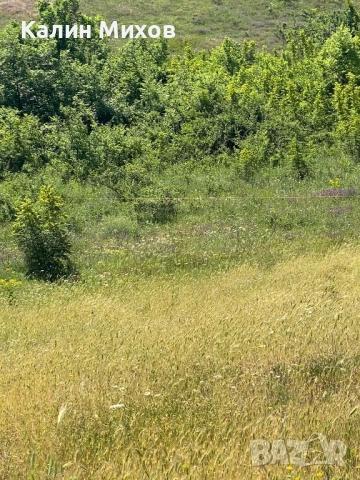 земеделска земя намираща в землището на село Белащица и Марково, снимка 9 - Земеделска земя - 52448452
