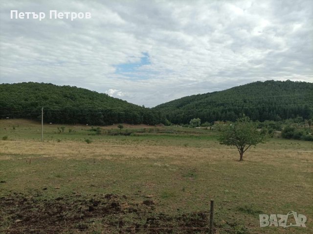 Вилa + земя 1000 KB. M., снимка 13 - Вили - 41857558