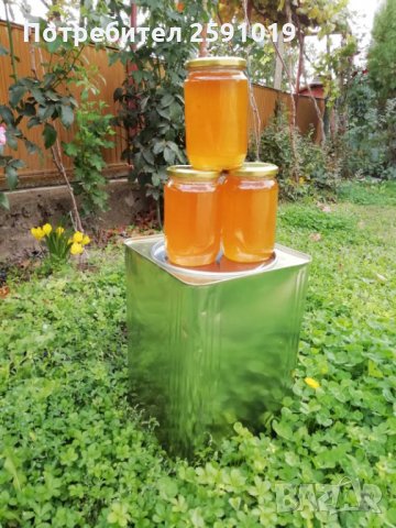 Пчелен мед , снимка 1 - Пчелни продукти - 34362627