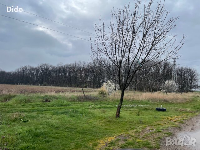 парцел село маджерито, снимка 6 - Парцели - 41163879