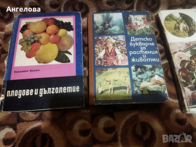 Полезни книги, снимка 3 - Специализирана литература - 41440820