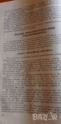 Палеонтология - Друщиц В.В., Обручева О.П., снимка 8 - Учебници, учебни тетрадки - 39079516