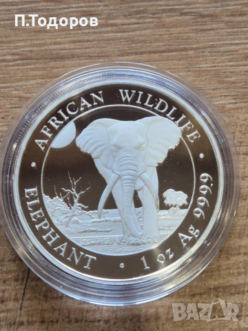 Сребро 1 oz Слон 2025 - Сомалия, снимка 3 - Нумизматика и бонистика - 53606612