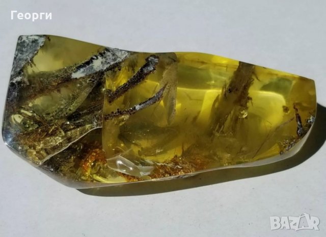 Уникално парче Балтийски кехлибар с отлично съхранени фосили, снимка 11 - Други ценни предмети - 34014656