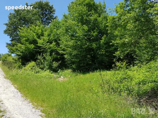 Рибарица 3000 кв.м. парцел и изграден до кота 0 стр., снимка 10 - Парцели - 50045804