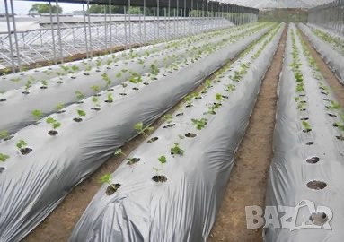 Мулчиращо фолио 1,2/100 15 (мкр), снимка 2 - Други - 53720948