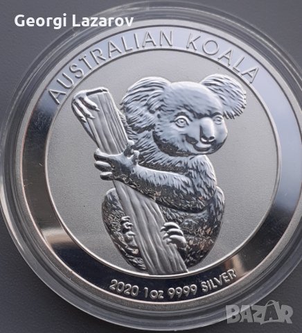 коала от Австралия 20