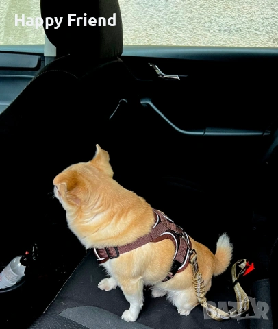 Безопасност за кучето ти в кола – здрав предпазен колан *НОВ*, снимка 3 - За кучета - 53697919